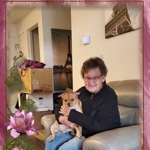 Meet your Posher, Shauna